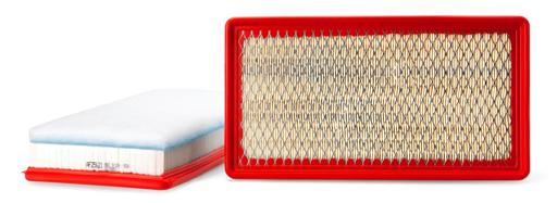 Fleetguard - FLGAF25621 - AF25621