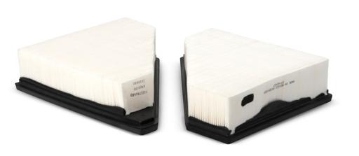 Fleetguard - FLGAF25572 - AF25572