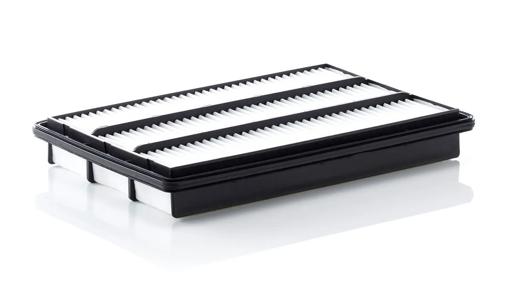 Fleetguard - FLGAF26578 - AF26578