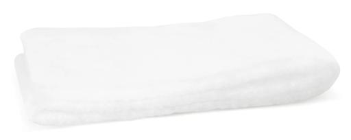 Fleetguard - FLGAF26169 - AF26169
