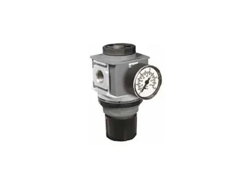 Parker Hannifin - CHEP33RA96BNNP - P33RA96BNNP