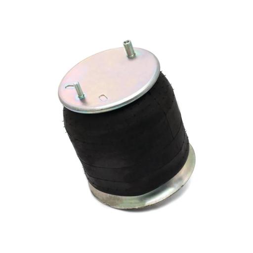 SAMPA - SAP559782-K - 559782-K