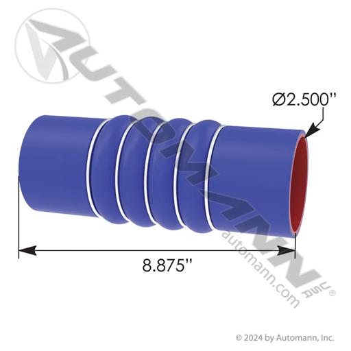 Automann - MZC561.75638 - 561.75638