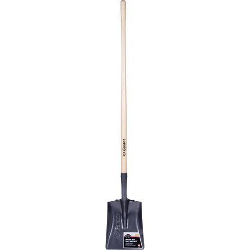 SCN - SCNNE310 - NE310
