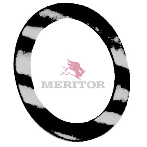 Meritor - ROCR627032 - R627032