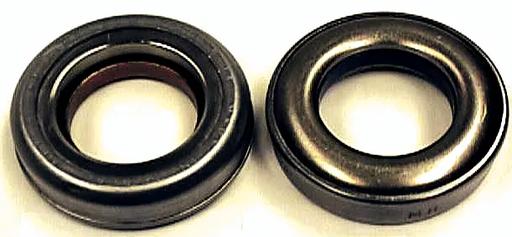 SKF - SKFN4012 - N4012